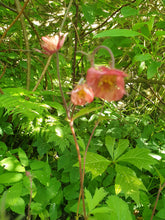 Geum Bell Bank
