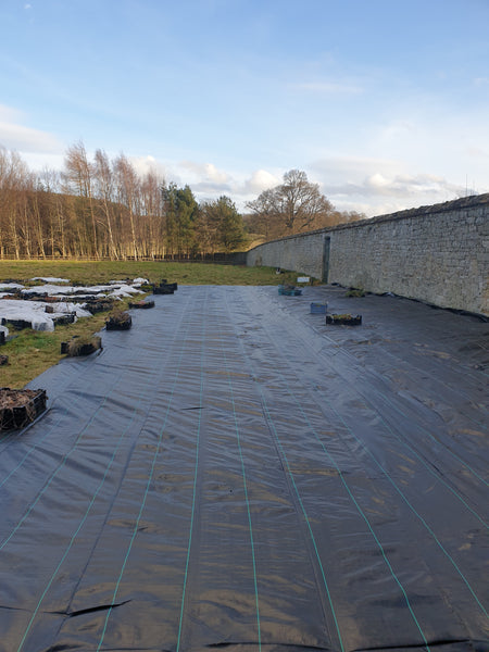 New nursery layout started today