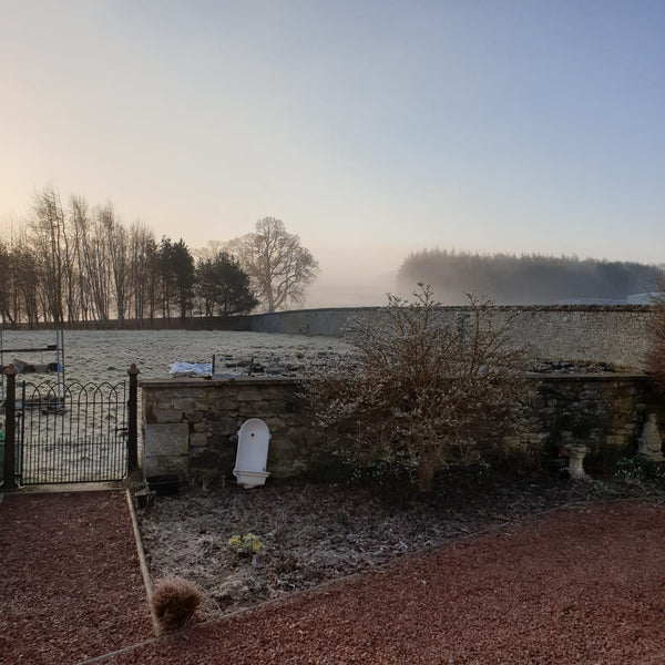 Frosty misty morning at Hartrigge today
