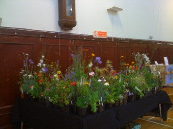 Perennials at  Haddington Charity Sale