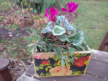 Wooden planters