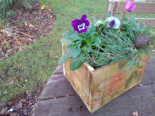 Wooden planters